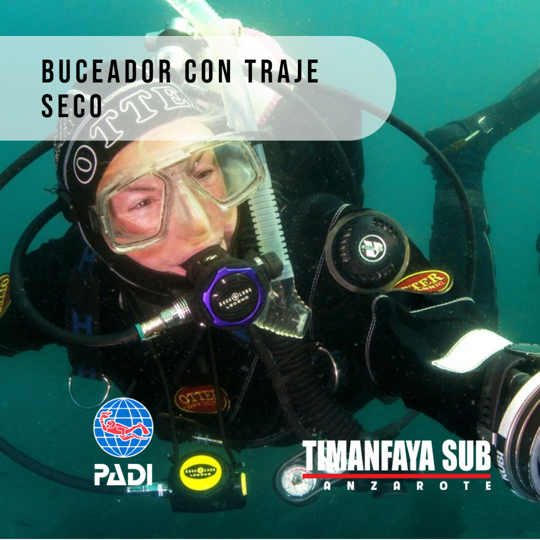 Conservación de tiburones – PADI Aware