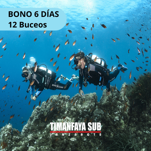 Bono de 12 buceos + equipo